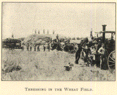 Threshing in the wheat field.