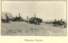 Harvest scene.