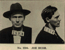 Joe Bush