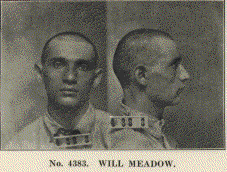 Will Meadow