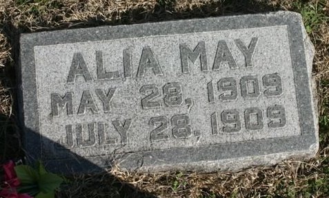 Gravestone for Alia May Singer

Mumford Cemetery, Barber County, Kansas.

Photo courtesy of Kim Fowles.