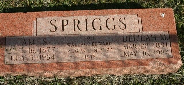 Gravestone for James, Wallace Edward and Delilah M. Spriggs

Mumford Cemetery, Barber County, Kansas.

Photo courtesy of Kim Fowles.