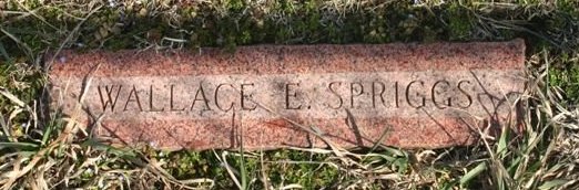 Gravestone for Wallace E. Spriggs

Mumford Cemetery, Barber County, Kansas.

Photo courtesy of Kim Fowles.