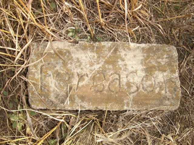 Fergason Grave Marker in the Paddock Cemetery, Barber County, Kansas.

Photo by Nathan Lee.