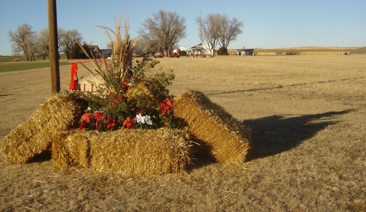 Norman and Lois Mills' roadside Christmas decoration, 2006, Barber County, Kansas.

Photo by Nathan Lee.