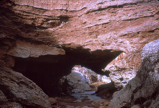 Red Hills Natural Bridge, 1960.

Photo by Stan Roth.