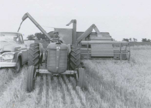 Clarence Rucker with a tractor-drawn combine, wheat harvest, 1965.

Photo courtesy of Ed Rucker.