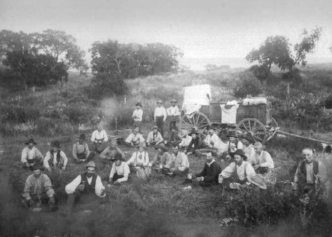 Roundup in Barber County, Kansas, 1894.