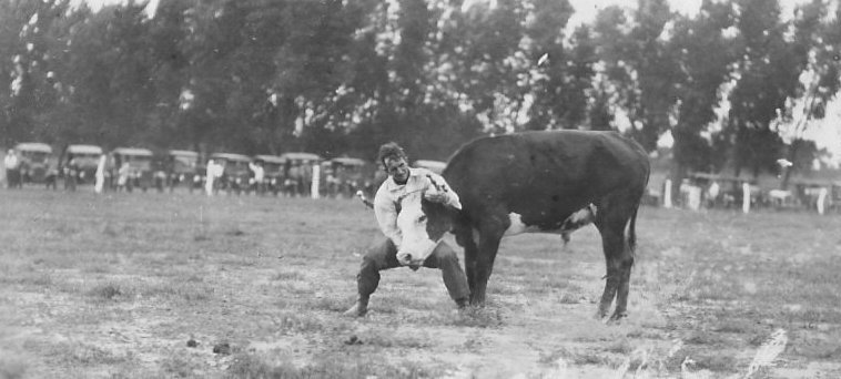 Bulldogger, McLain Roundup, Sun City, Barber County, Kansas.   Photo by Homer Venters, courtesy of his great-nephew, Mike Venters. 