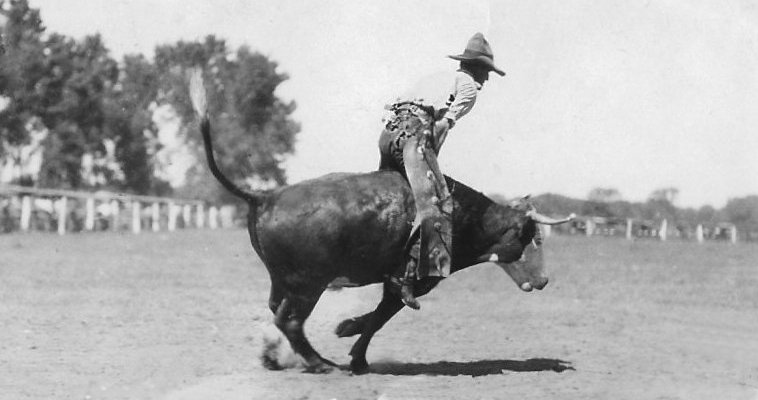 Bull Rider, McLain Roundup, Sun City, Barber County, Kansas.   Photo by Homer Venters, courtesy of his great-nephew, Mike Venters. 