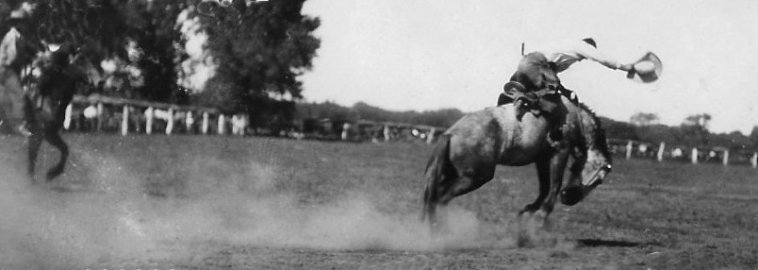 Bronc Rider, McLain Roundup, Sun City, Barber County, Kansas.   Photo by Homer Venters, courtesy of his great-nephew, Mike Venters. 