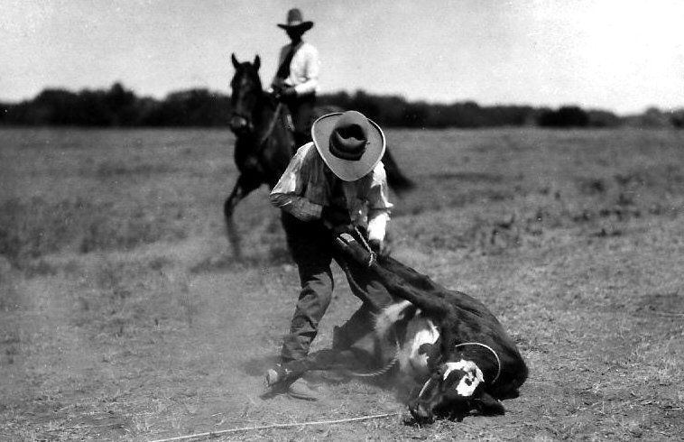 Calf Roping, McLain Roundup, Sun City, Barber County, Kansas.   Photo by Homer Venters, courtesy of his great-nephew, Mike Venters. 