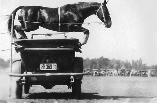 Horse Riding On Car, McLain Roundup, Sun City, Barber County, Kansas.   Photo by Homer Venters, courtesy of his great-nephew, Mike Venters. 