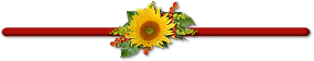 Sunflower Bar Page Divider
