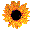 Sunflower image