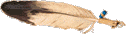 Feather
