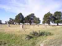 Grand_Prairie_View1-sm.jpg - 18700 Bytes