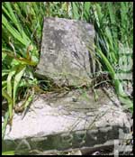 photo1.jpg - 7832 Bytes