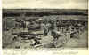 Cattle ranch 1906.JPG (38264 bytes)