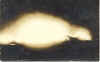 night_of_the_fire.jpg (15447 bytes)
