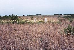 Coleman Cemetery
