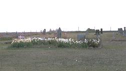 Roscoe Cemetery