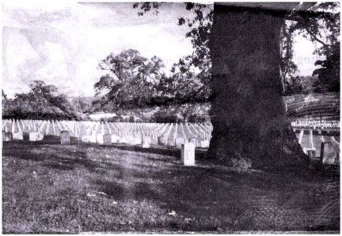 Tennessee Graveyard