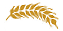 wheat7.gif - 1855 Bytes