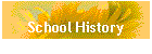 School History