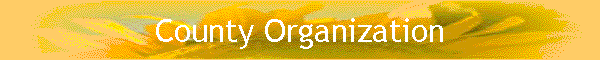 County Organization