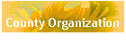 County Organization
