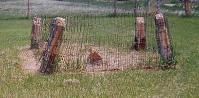 Bunker