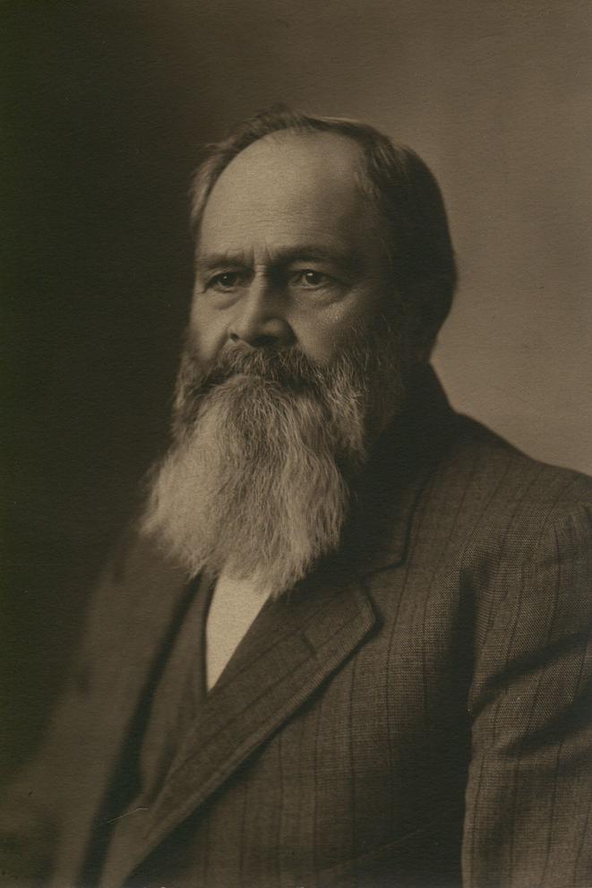 Photo of Orange Montgomery Gage
