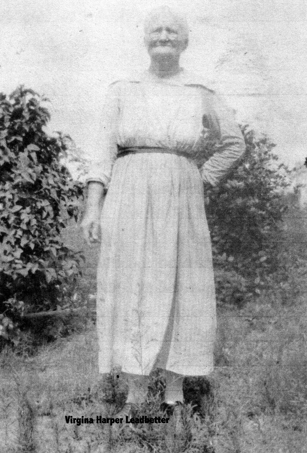Photo of Virginia Harper