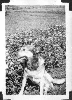 CCC photo 023