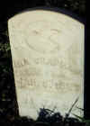 modell_chapman.JPG (11754 bytes)