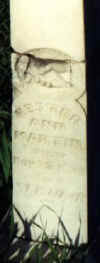 modell_martin.JPG (8847 bytes)