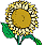 tsun1.gif - 2078 Bytes