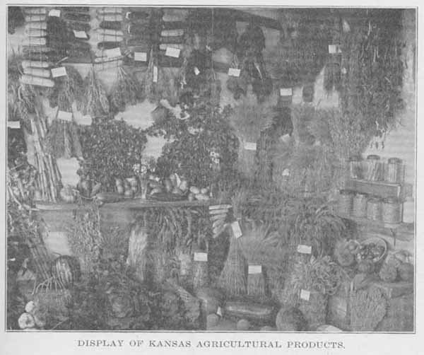 DISPLAY OF KANSAS AGRICULTURAL PRODUCTS.