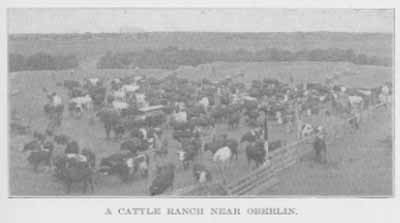 A CATTLE RANCH NEAR OBERLIN.