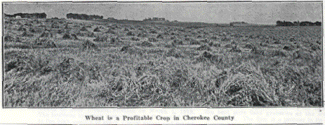 Wheat is a Profitable Crop in Cherokee County